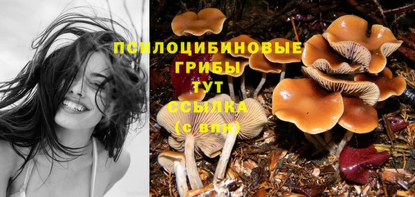твердый Алзамай