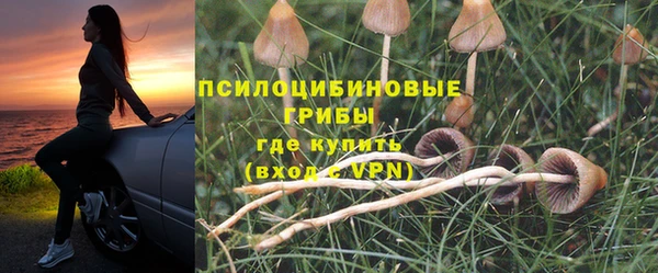твердый Алзамай