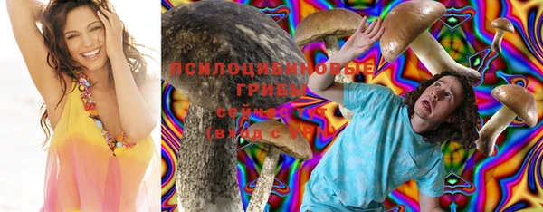 ПСИЛОЦИБИНОВЫЕ ГРИБЫ Алексеевка