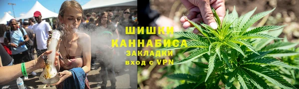 ПСИЛОЦИБИНОВЫЕ ГРИБЫ Алексеевка